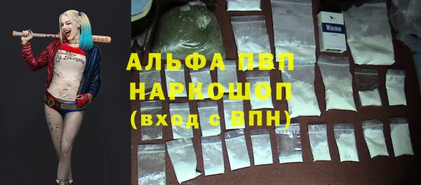 сатива Балахна