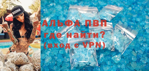 сатива Балахна