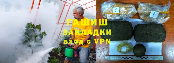 сатива Балахна
