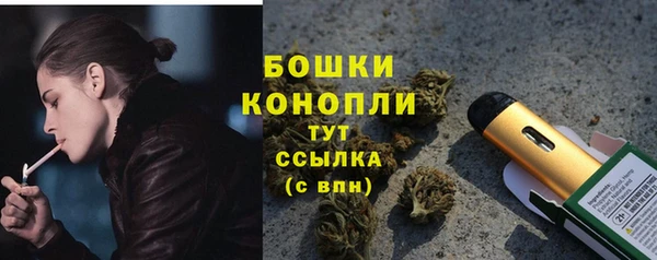 сатива Балахна