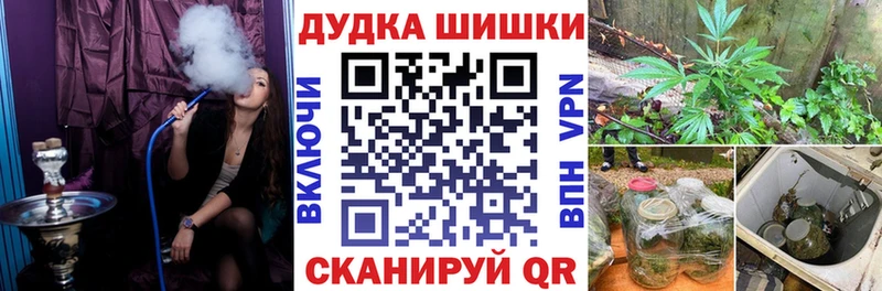 Бошки Шишки ГИДРОПОН  Купить закладки  Куровское 